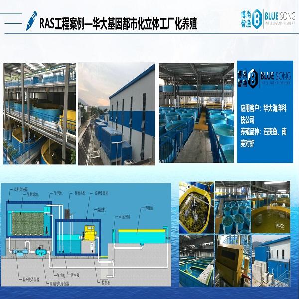 华大海洋都市立体工厂化RAS工程